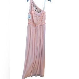 David's Bridal Blush Pink Lace Bodice Chiffon Maxi Dress